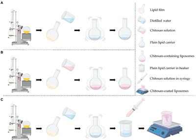 Chitosan-based delivery system enhances antimicrobial activity of chlorhexidine